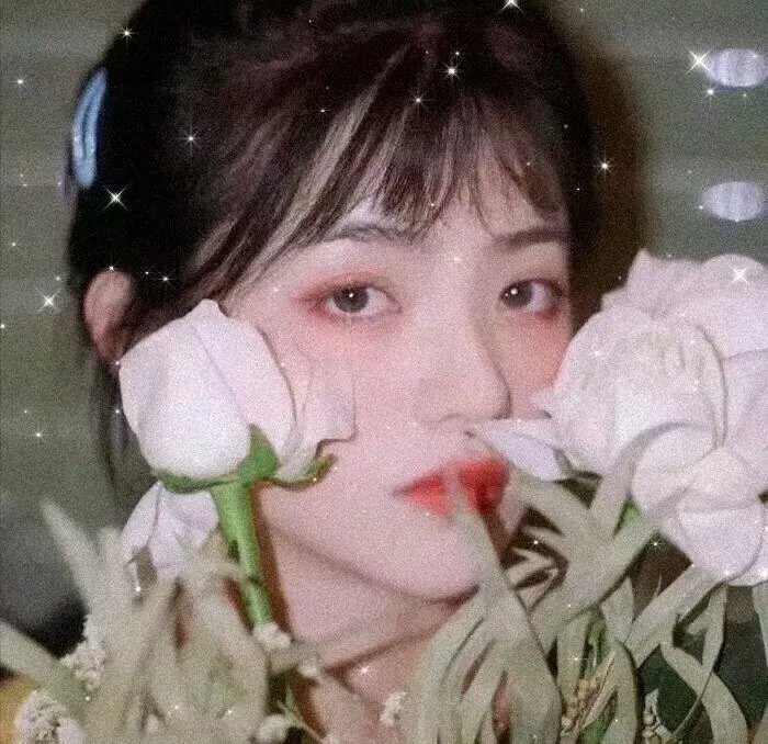 杨门少年